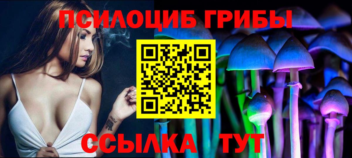 Архангельск  где можно купить   Вход с VPN  Галлюциногенные грибы Psilocybe 